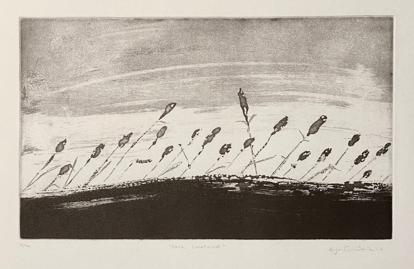 Sterk i motvind av Anja Cecilie Solvik - Galleri EKG AS