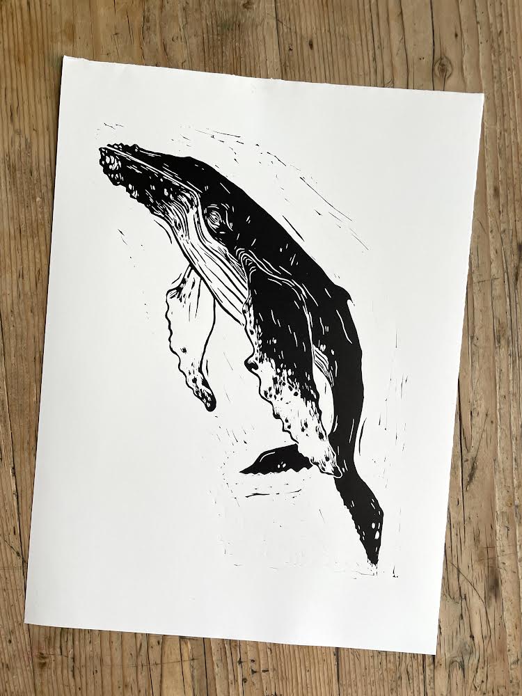 Humpback whale by Embla Øverbye