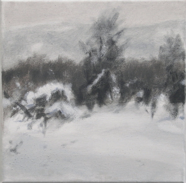 Vinterbilde 2 av Kjetil Haug - Galleri EKG AS