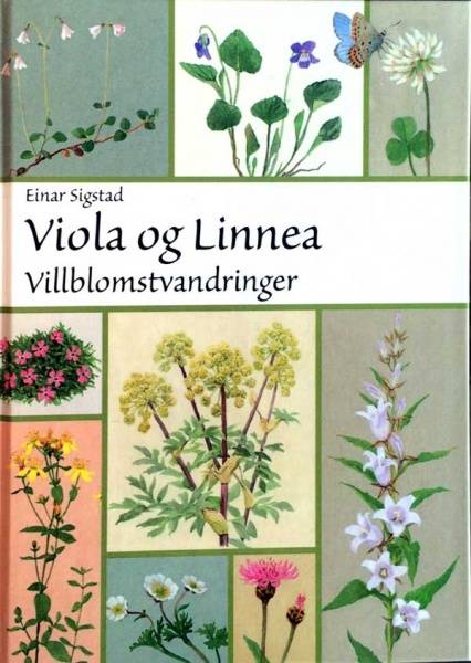 Viola og Linnea Villblomstervandring av Einar Sigstad - Galleri EKG AS