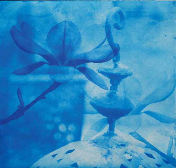Blå magnolia av Monica Egeli - Galleri EKG AS