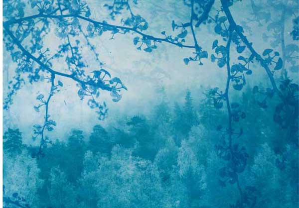 Blå skog av Monica Egeli - Galleri EKG AS
